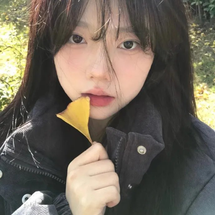 伊如阳光